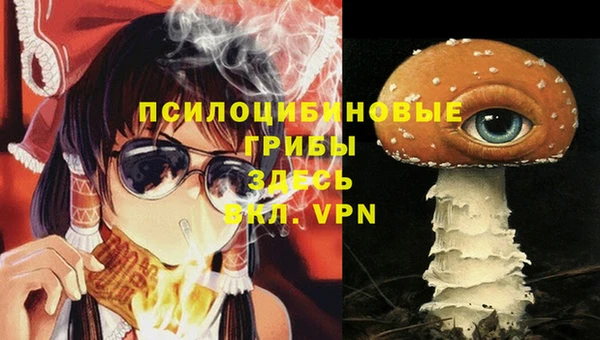 прущая мука Заводоуковск