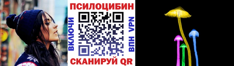 Купить закладки  Межгорье  Псилоцибиновые грибы Cubensis 